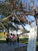 gruppo di bambini in piedi dietro un albero, su un palco