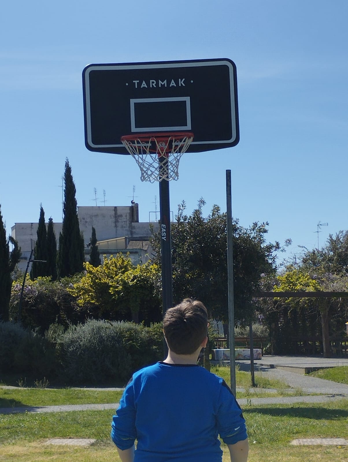 Ragazzo visto di spalle si trova di fronte a un canestro, in fondo ci sono siepi e alberi verdi e il cielo azzurro.