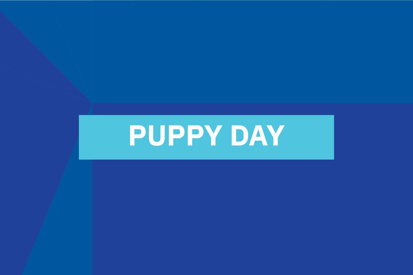 Locandina del Puppy Day - Giornata del Cucciolo organizzat dal Nodo di Sava