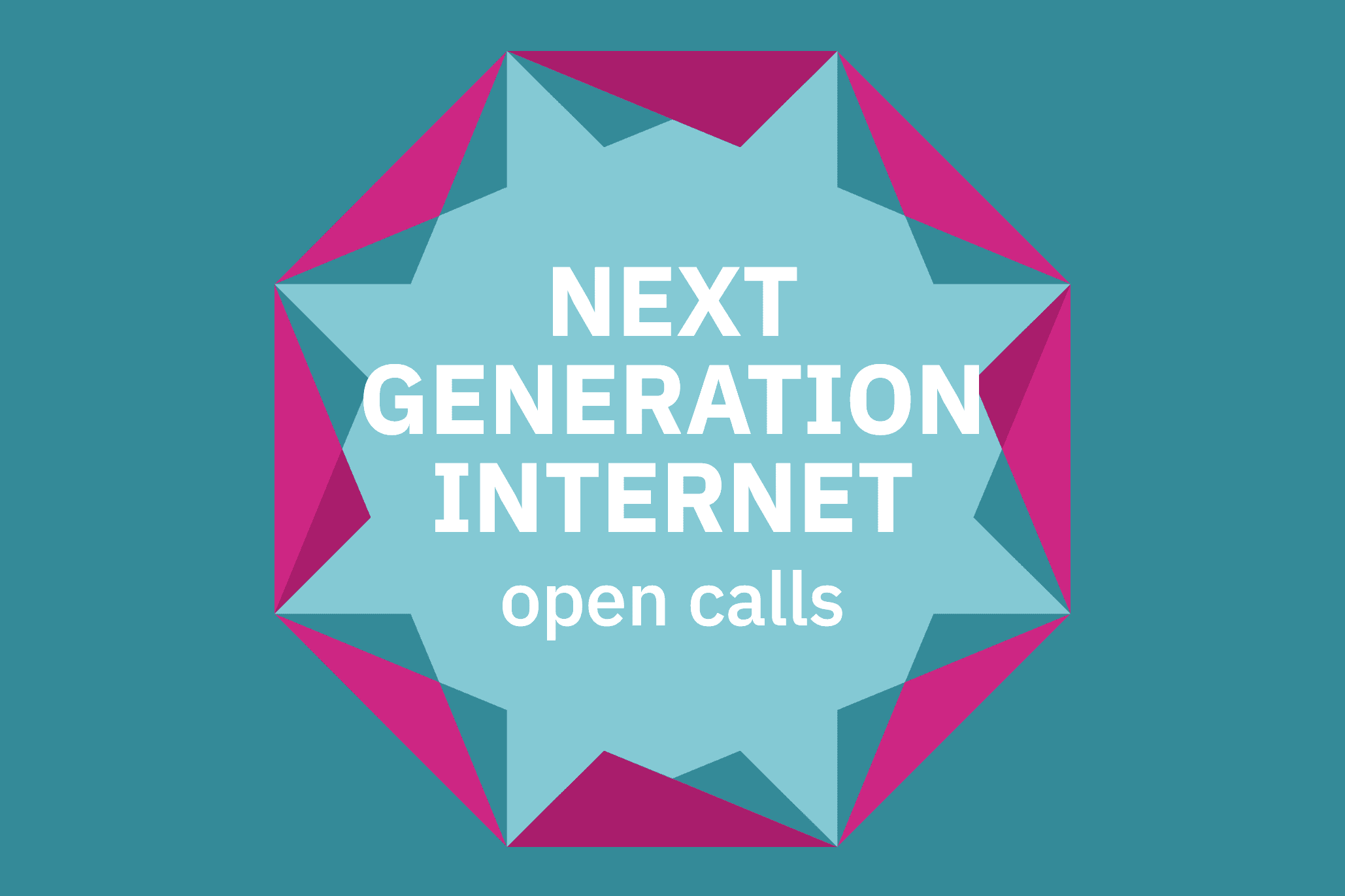 Next Generation Internet open calls