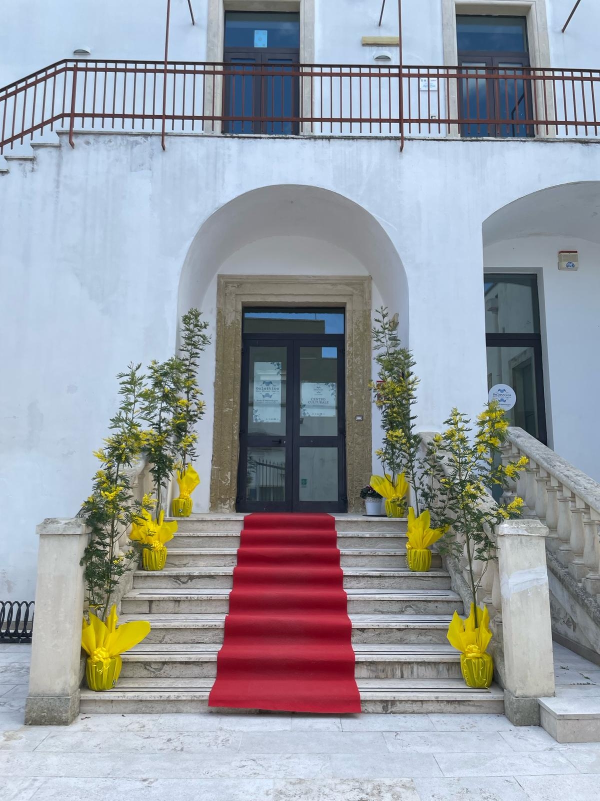 Scalinata con tappeto rosso al centro e ai lati vasi gialli con alberelli, la quale arriva a una porta a vetro sotto un arco nell'edificio dipinto di bianco, e in alto si vedono una inferriata e dietro un'altra porta al primo piano.