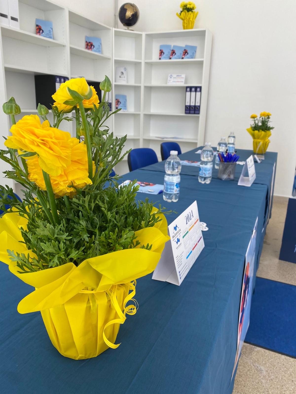 Tavolo blu con vaso di fiori gialli, bottiglie d'acqua e scaffali bianchi sullo sfondo