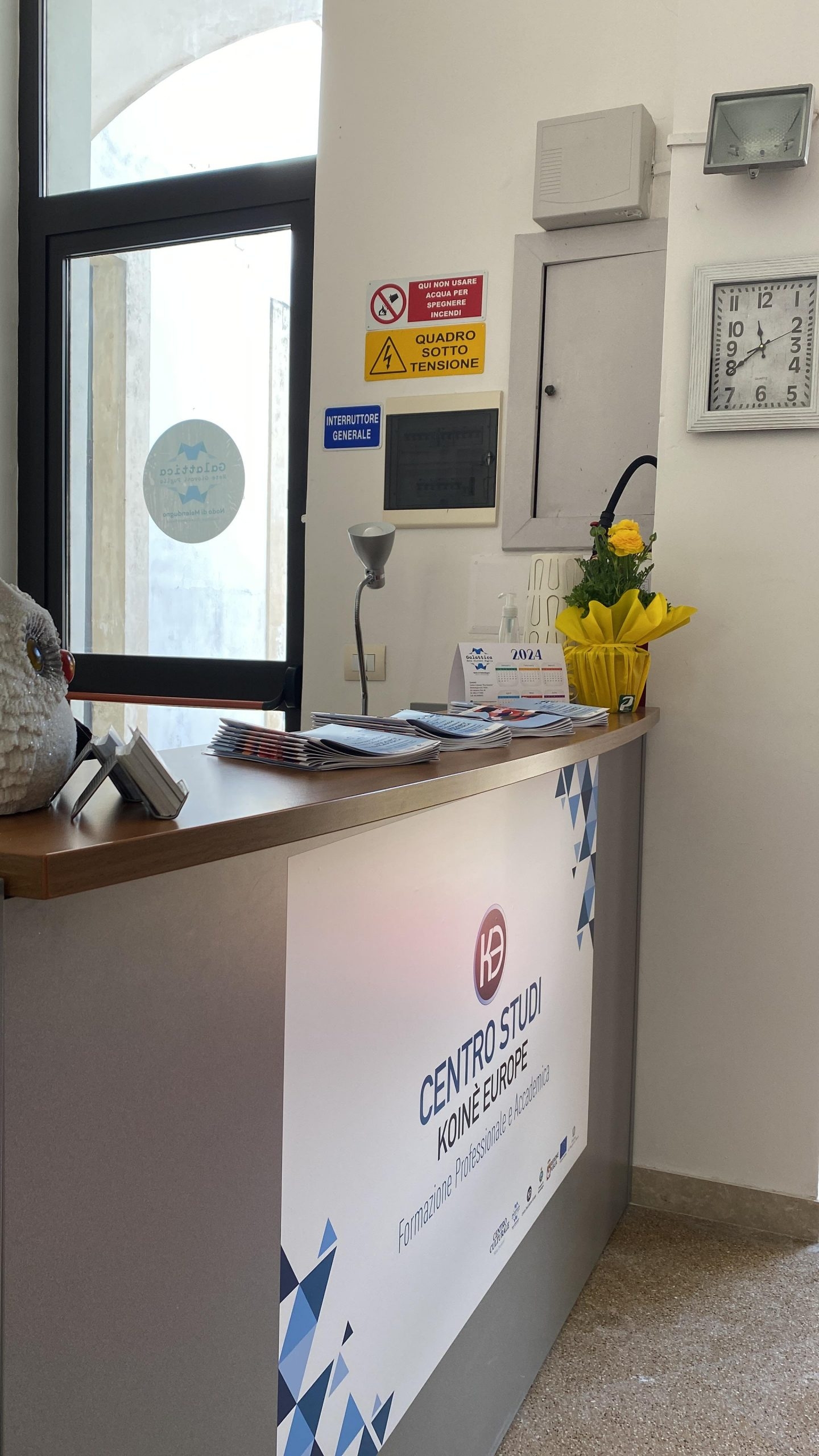 Entrata con bancone, logo di CSKE e fiori gialli.