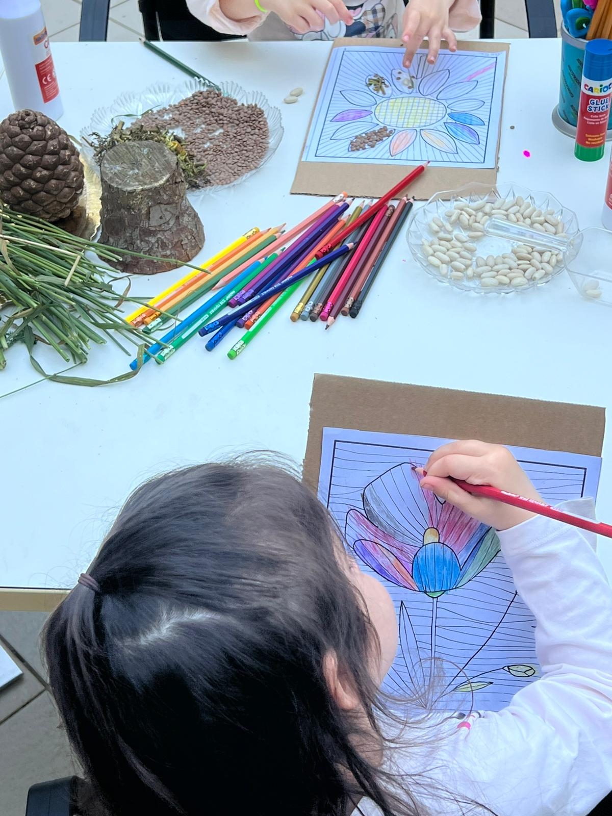 Laboratori di Educazione in Natura