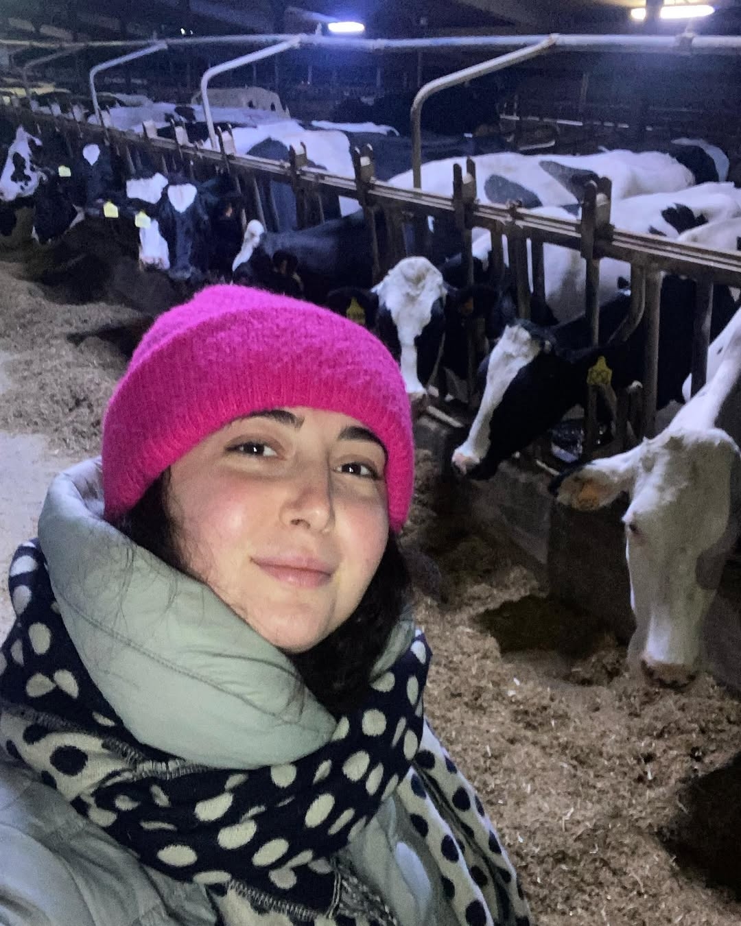 Rosa Maria Saracuni sorride in una stalla moderna circondata da mucche in una tranquilla atmosfera notturna