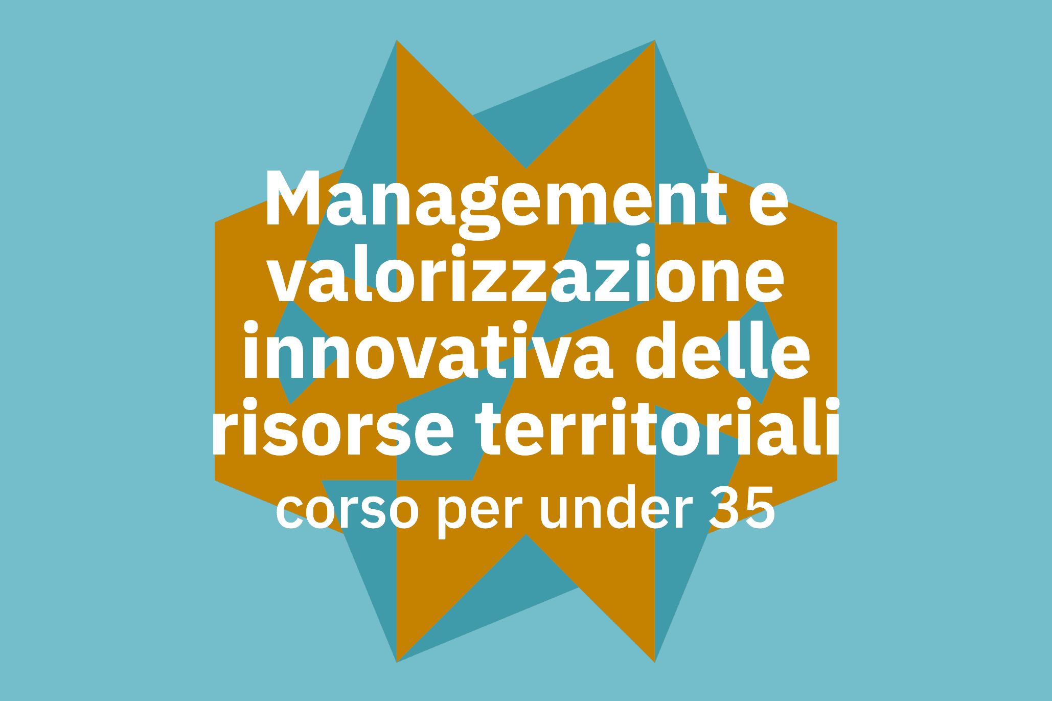 Management e valorizzazione innovativa delle risorse territoriali formazione avanzata per under 35