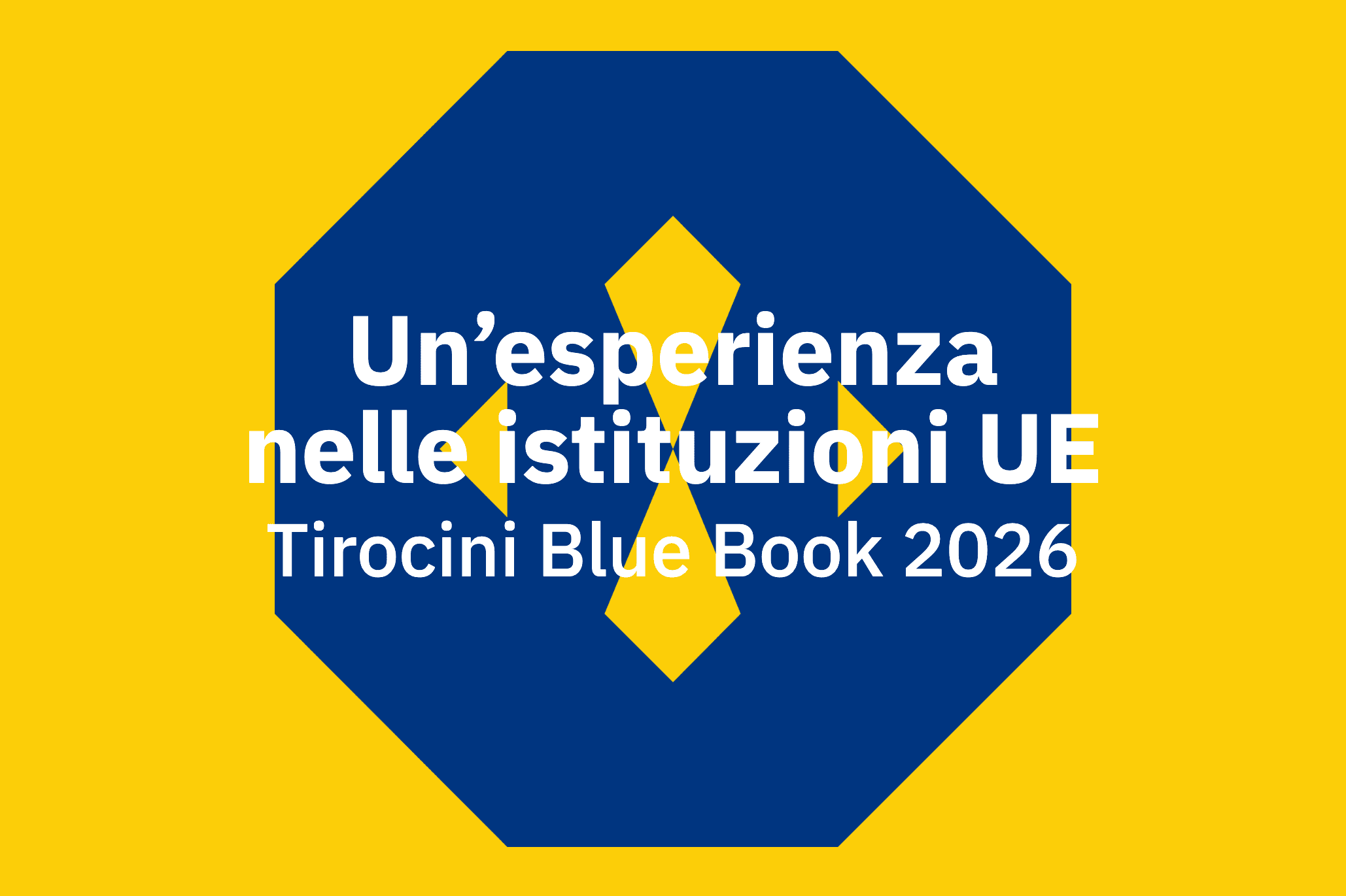 Un’esperienza nelle istituzioni UE Tirocini Blue Book 2026